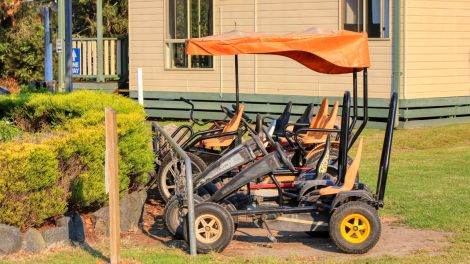 Eden Gateway Holiday Park pedal karts