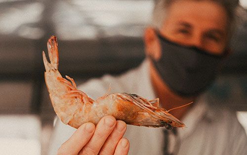 A man holding a giant king prawn
