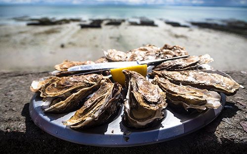 A platter of fresh oysters with lemon