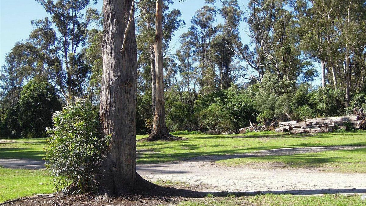 Eden Gateway Holiday Park Unpowered Camping Sites